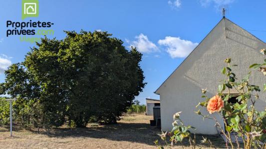 Acheter en viager Maison 75 m2 Saint-nicolas-de-bourgueil