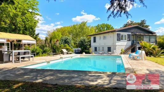 For sale Pinsaguel 5 rooms 135 m2 Haute garonne (31120) photo 3