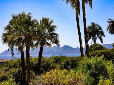 Acheter Appartement Cannes Alpes Maritimes