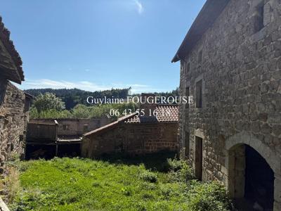 Annonce Vente 8 pices Maison Chapelle-en-lafaye 42