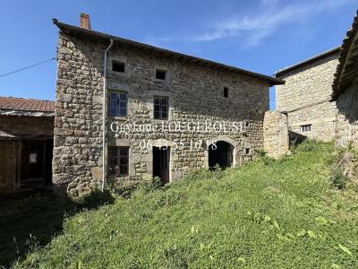 Acheter Maison 380 m2 Chapelle-en-lafaye