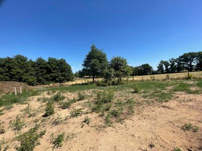 For sale Saint-leger-les-paray 1 room 30 m2 Saone et loire (71600) photo 1