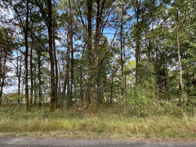 Acheter Terrain 3300 m2 Saint-martin-de-fressengeas