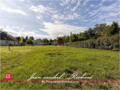 Annonce Vente 4 pices Maison Meusnes 41