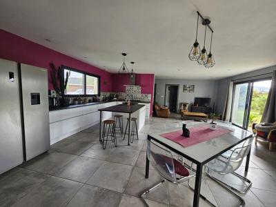 Acheter Maison 130 m2 Idaux-mendy