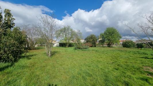Annonce Vente Terrain Gujan-mestras 33