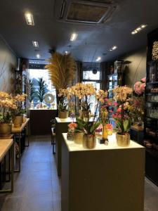 Annonce Vente Commerce Paris-2eme-arrondissement 75