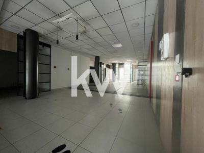 Acheter Local commercial 254 m2 Bouscat