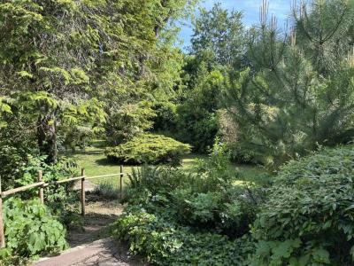 Acheter Maison Chaville 985000 euros