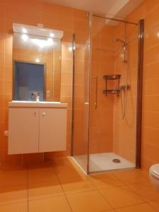 Louer Appartement 43 m2 Hegenheim
