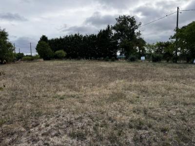 Annonce Vente Terrain Saint-caprais 18