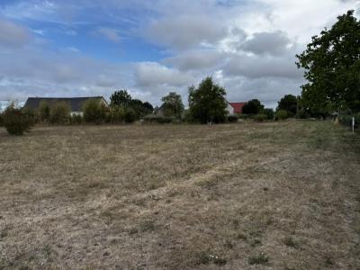Acheter Terrain 1452 m2 Saint-caprais