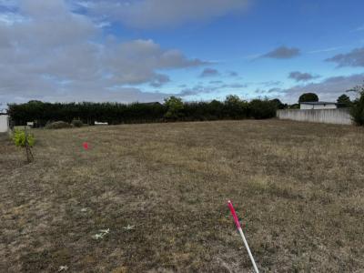 Annonce Vente Terrain Saint-caprais 18