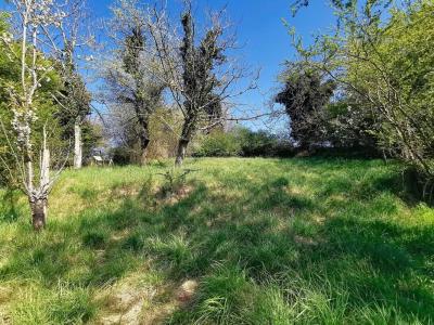 For sale Luzinay 5 rooms 192 m2 Isere (38200) photo 2