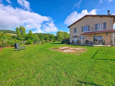 For sale Moidieu-detourbe 5 rooms 194 m2 Isere (38440) photo 3