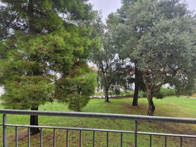 Acheter Appartement 40 m2 Canale-di-verde
