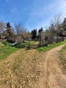For sale Manduel 1911 m2 Gard (30129) photo 0