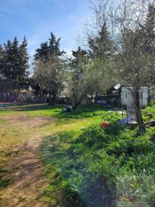 Annonce Vente Terrain Manduel 30