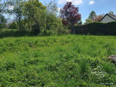 Acheter Maison 190 m2 Franqueville