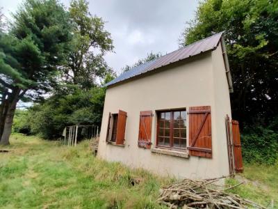 Annonce Vente Terrain  53