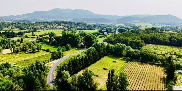 For sale CAMPAGNE 8 rooms 217 m2 Vaucluse (84190) photo 2