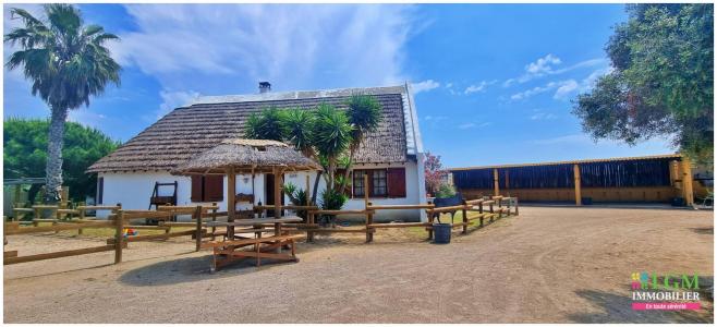 For sale Grau-du-roi Gard (30240) photo 0