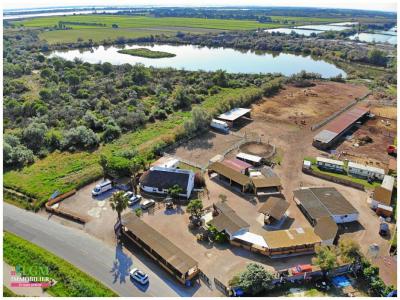 For sale Grau-du-roi Gard (30240) photo 1