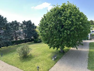 Acheter Maison 308 m2 Azay-le-rideau
