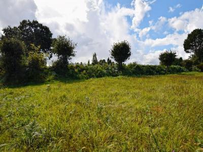 For sale Perros-guirec 790 m2 Cotes d'armor (22700) photo 4