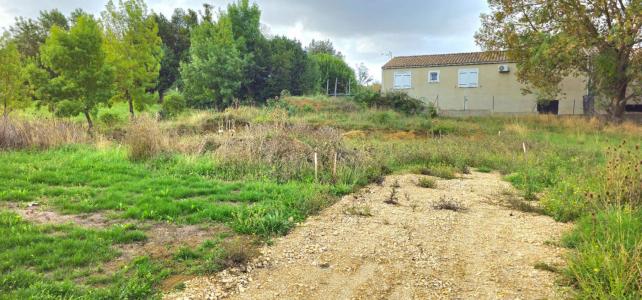 Annonce Vente Terrain Saint-papoul 11