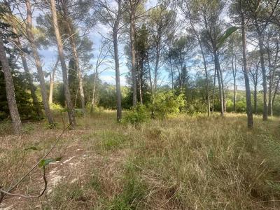Acheter Terrain 1041 m2 Montpellier