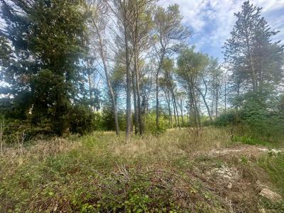 Acheter Terrain Montpellier Herault
