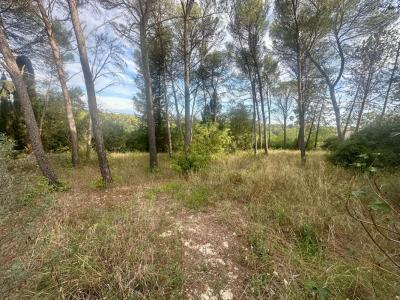 Acheter Terrain Montpellier 650000 euros
