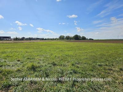 Annonce Vente Terrain Bazoches-les-gallerandes 45