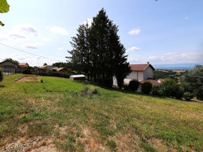 For sale Violay 10 rooms 185 m2 Loire (42780) photo 4