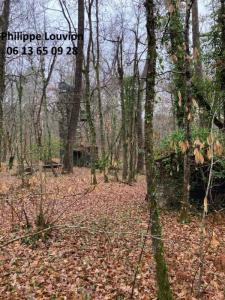 Annonce Vente Domaine forestier Moustier 47