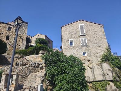 Annonce Vente 3 pices Maison Olmeto 20