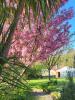 For sale House Bazoges-en-pareds  320 m2 11 pieces