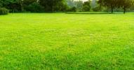 For sale Land Saint-quentin-de-baron 608 m2