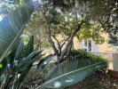 For sale Apartment Argeles-sur-mer  116 m2 4 pieces