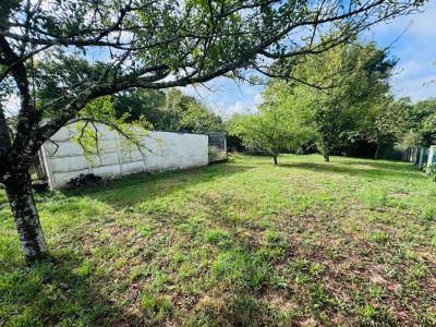 For sale Coulanges-les-nevers 4 rooms 82 m2 Nievre (58660) photo 3