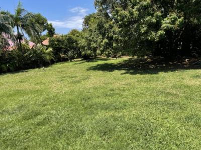 Acheter Terrain 522 m2 Saint-benoit