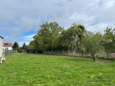 Annonce Location 5 pices Maison Saint-leonard-de-noblat 87