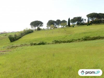 Annonce Vente Terrain Castelnau-sur-gupie 47