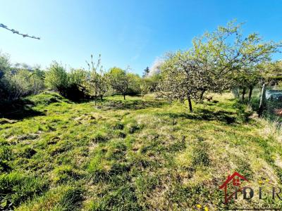 For sale Serqueux 4 rooms 171 m2 Haute marne (52400) photo 3