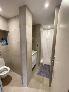 Louer Appartement Villeurbanne 943 euros