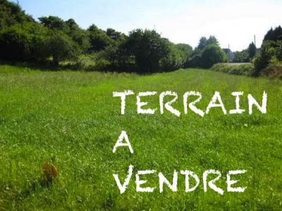 For sale 1963 m2 Yonne (89140) photo 0