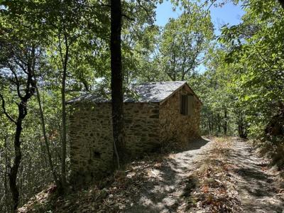 Acheter Terrain 8550 m2 Lespinassiere