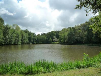 Annonce Vente Terrain Juillac 19