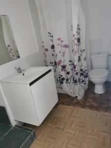 Annonce Location 2 pices Appartement Castets-en-dorthe 33